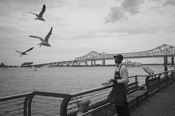 Les oiseaux sur la promenade de la rivière