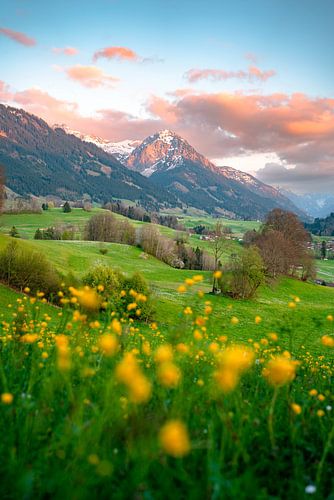 Bloemrijk uitzicht op de Allgäuer Alpen