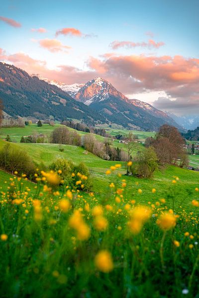 Blumige Ausblick auf die Allgäuer Alpen von Leo Schindzielorz