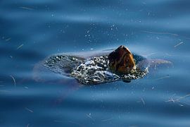 Getting some air by Frank's Awesome Travels