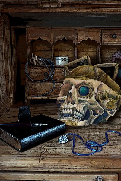 steampunk skull von Dinie de zeeuw