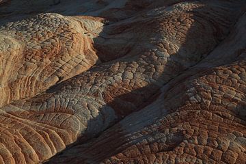 Yant Flat - Candy Cliffs - Cottonwood Forest Wilderness Utah USA van Frank Fichtmüller