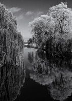 Paysage fluvial en hiver