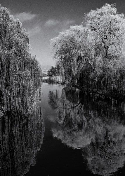 Rivierlandschap in de winter van Frank Andree