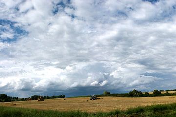 Harvest van Guus Quaedvlieg