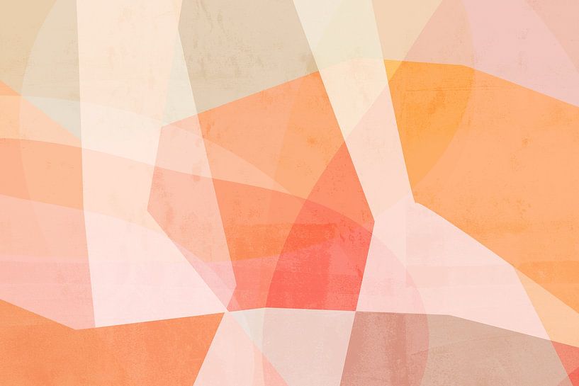Pink with Coral  Abstract Shapes by Dina Dankers