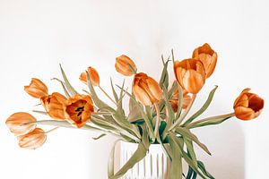 mooie rode tulpen