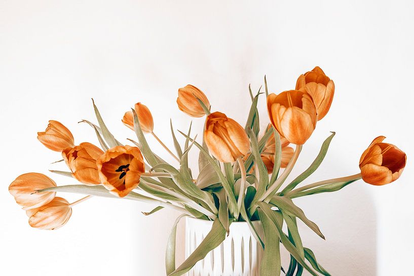 mooie rode tulpen van Michael Schulz-Dostal