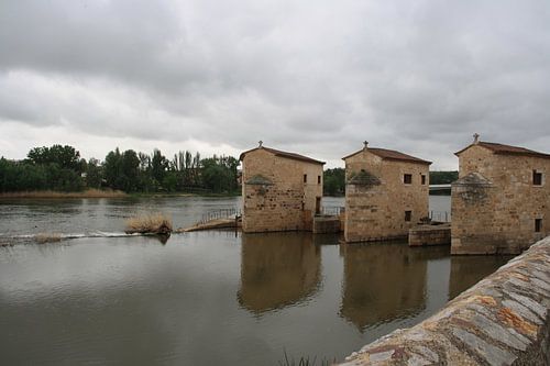 Aceñas de Olivares