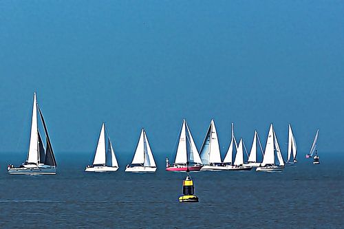 Sailboats on the North Sea (Netherlands)