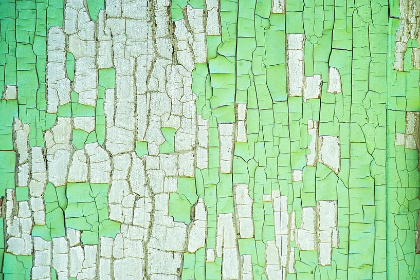 Peinture craquelée sur une porte en bois en vert et blanc par Birgitte Bergman