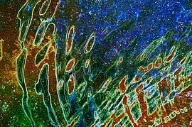 Space Waves 3 van De Rover