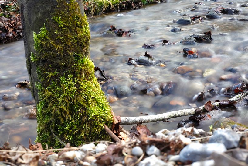 Alles fließt von Thomas Jäger