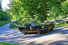 Ford Mustang GT350H Shelby  - Start 103 - Eggberg Klassik 2025 von Ingo Laue