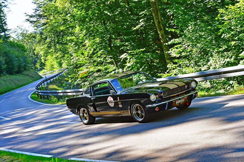 Ford Mustang GT350H Shelby - Start 103 - Eggberg Classic 2025 by Ingo Laue