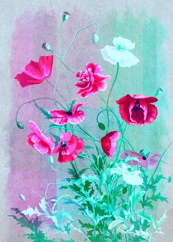 Mais klaproos Pop Art