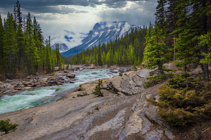 Landschap in Kootenay National Park, Canada van Rietje Bulthuis