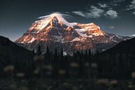 Mount Robson Kanada Sonnenuntergang von Vincent Fennis Miniaturansicht