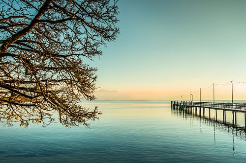 Chiemsee Sonnenuntergang mit Baum und Steg