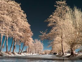 Winterlandschaft von Lex Schulte
