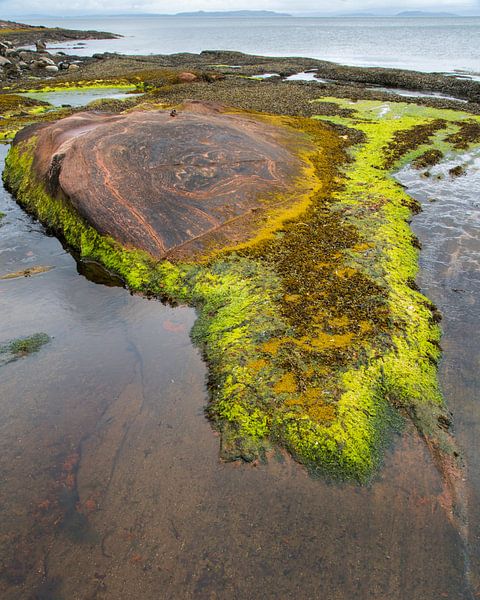 Pirates Cove, Arran, Schottland von Johan Zwarthoed