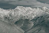 Winters Tafereel in de Oostenrijkse Alpen van Sophia Eerden thumbnail
