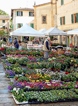 Bloemenmarkt Cetona Toscane van Dorothy Berry-Lound