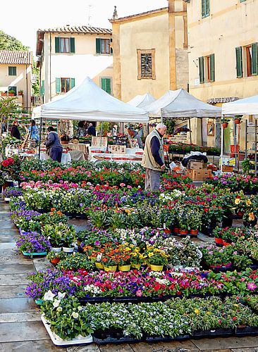 Bloemenmarkt Cetona Toscane