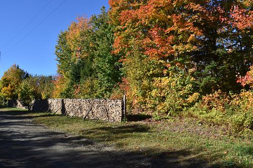 Een koord van hout in de herfst