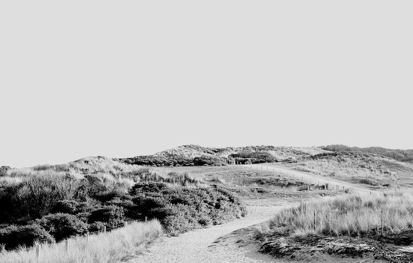 Zélande par Sidney Graf
