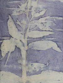 Ecoprint von Wildpflanzen von Liesbeth Bulk