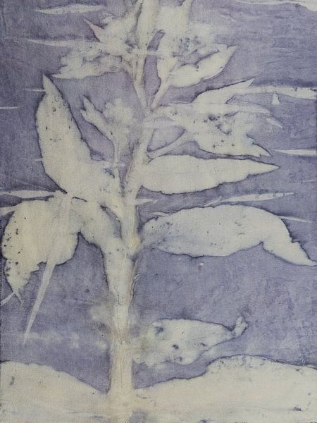 Ecoprint von Wildpflanzen von Liesbeth Bulk