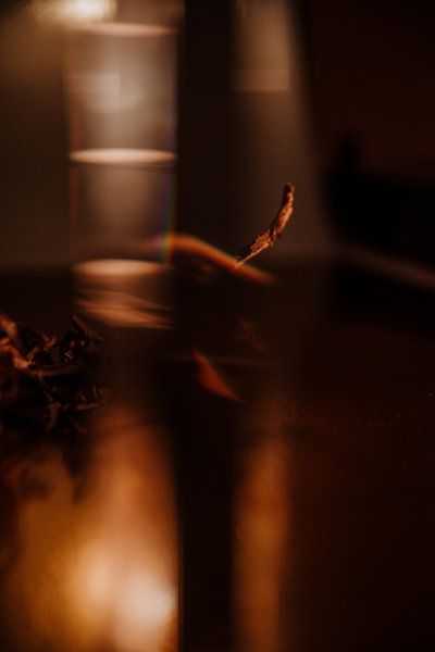 Reflexion mit Zweigen von Willeke Photography