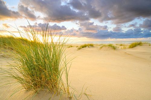 Zonsondergang op het strand van Texel met zandduinen op de voorgrond