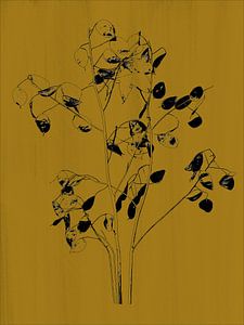Botanische print judaspenning, oker geel