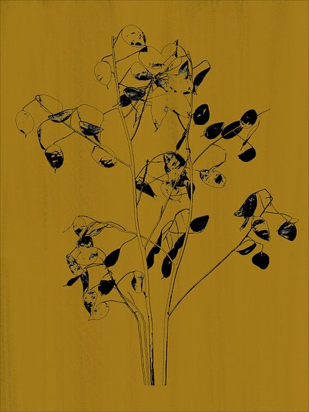Botanische print judaspenning, oker geel van Joske Kempink