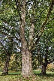 The powerhouse by Ellen Weidenaar