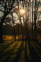 Sun and Shadow play