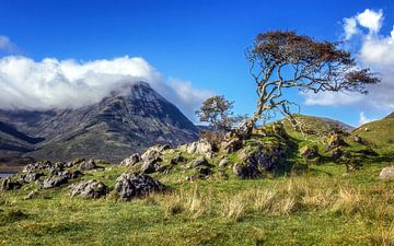 The Red Cuillins by Em We