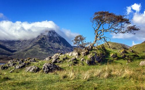 The Red Cuillins