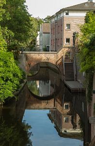 Doorkijk over de Dieze