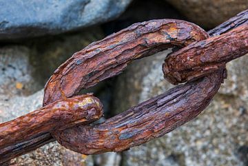 Link of Rusty Chain by Daan Kloeg