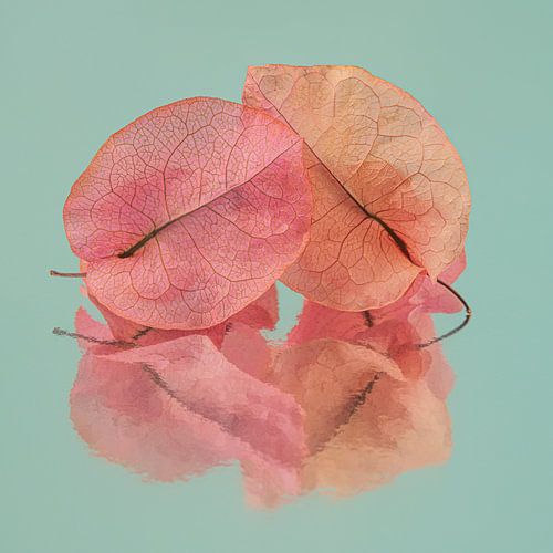 Pop of colour: Samen tot het einde