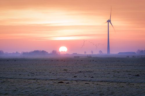 zonsopkomst boven het weiland