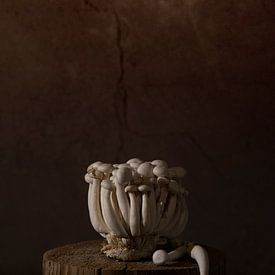 Stillleben Pilze von Ilona van der Burg