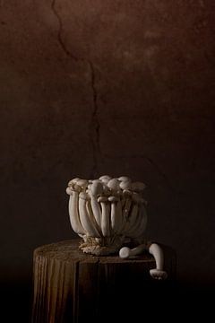 Stilleven champignons van Ilona van der Burg