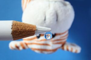 Water drop with reflection