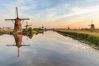 Windmills at Kinderdijk just after sunrise