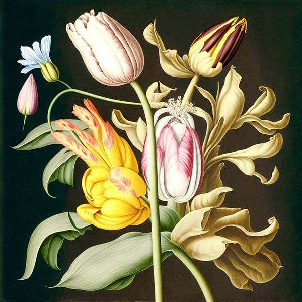 Old masters tulips bouquet historical naturalistic detailed by gm_designs