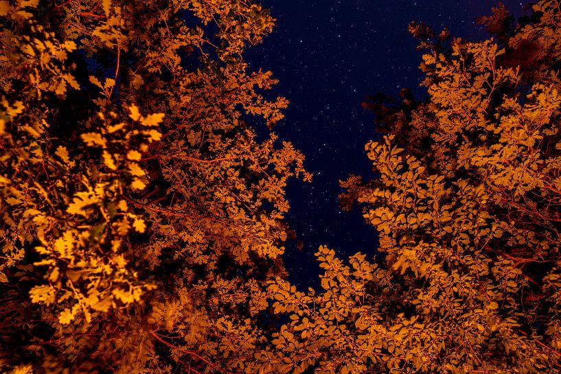 Herbstnacht unter dem Sternenhimmel - Der große Bär von Femke Ketelaar